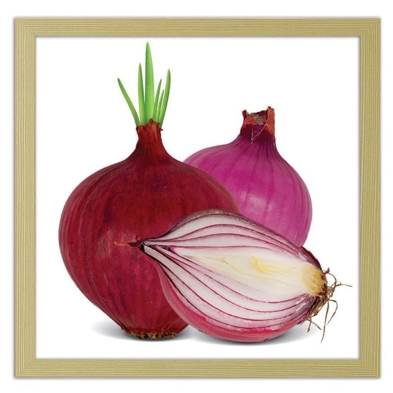 Glezna bēšā rāmī - Red onions  Home Trends DECO