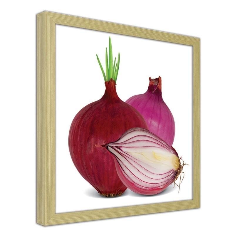 Glezna bēšā rāmī - Red onions  Home Trends DECO