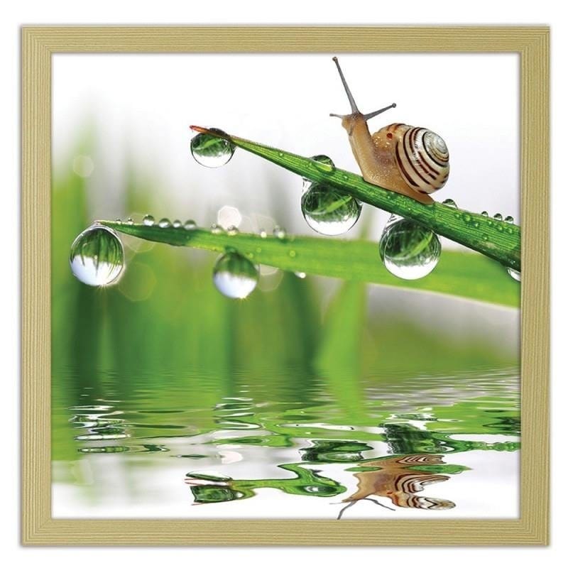 Glezna bēšā rāmī - Snail on sprinkled grass  Home Trends DECO