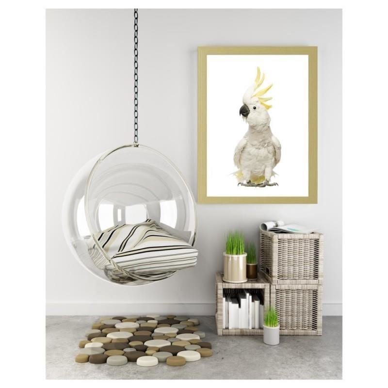 Glezna bēšā rāmī - Sulfur-crested cockatoos  Home Trends DECO