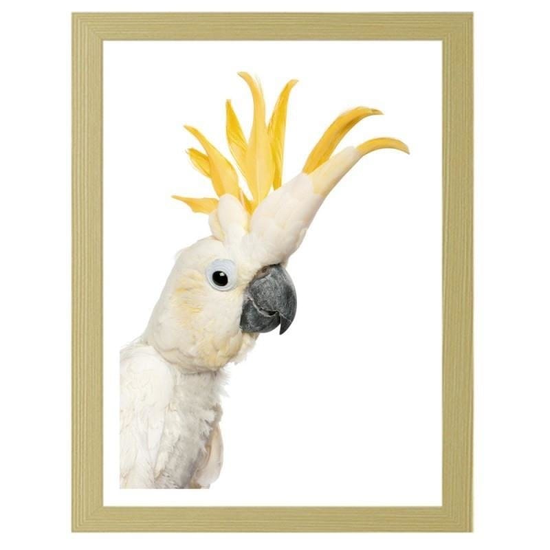 Glezna bēšā rāmī - Sulphur-crested cockatoos  Home Trends DECO