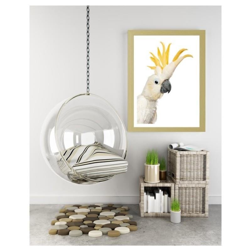 Glezna bēšā rāmī - Sulphur-crested cockatoos  Home Trends DECO