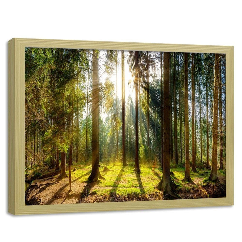 Glezna bēšā rāmī - Sunshine Behind The Trees  Home Trends DECO