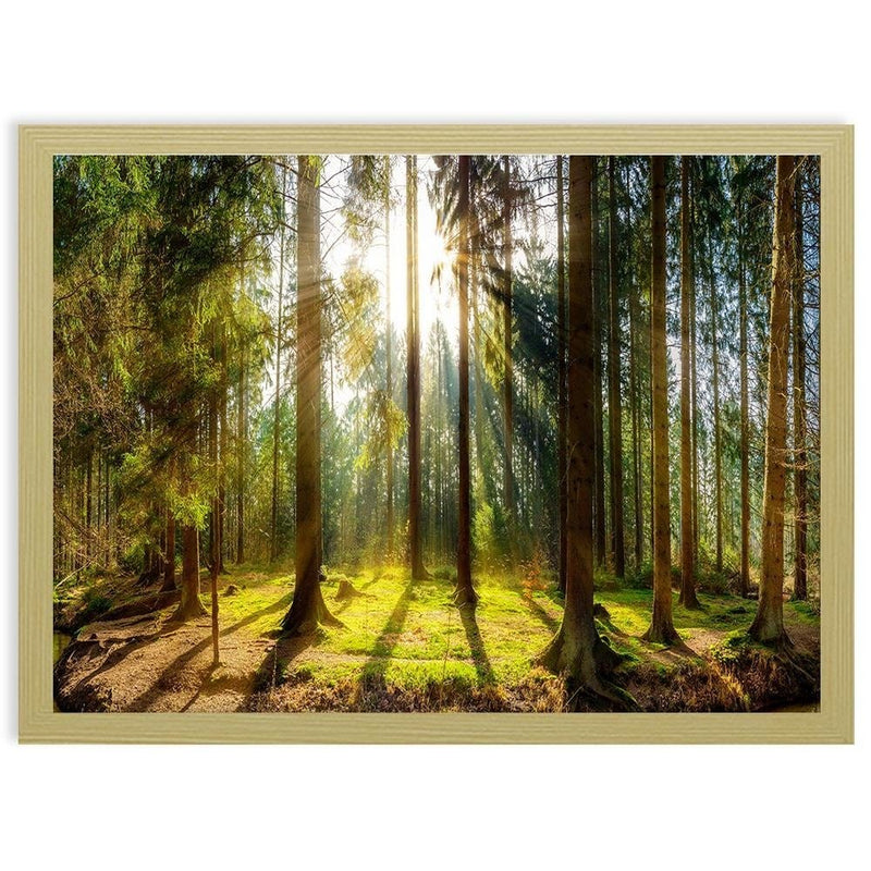 Glezna bēšā rāmī - Sunshine Behind The Trees  Home Trends DECO