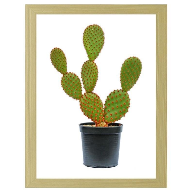 Glezna bēšā rāmī - The cactus in the pot  Home Trends DECO