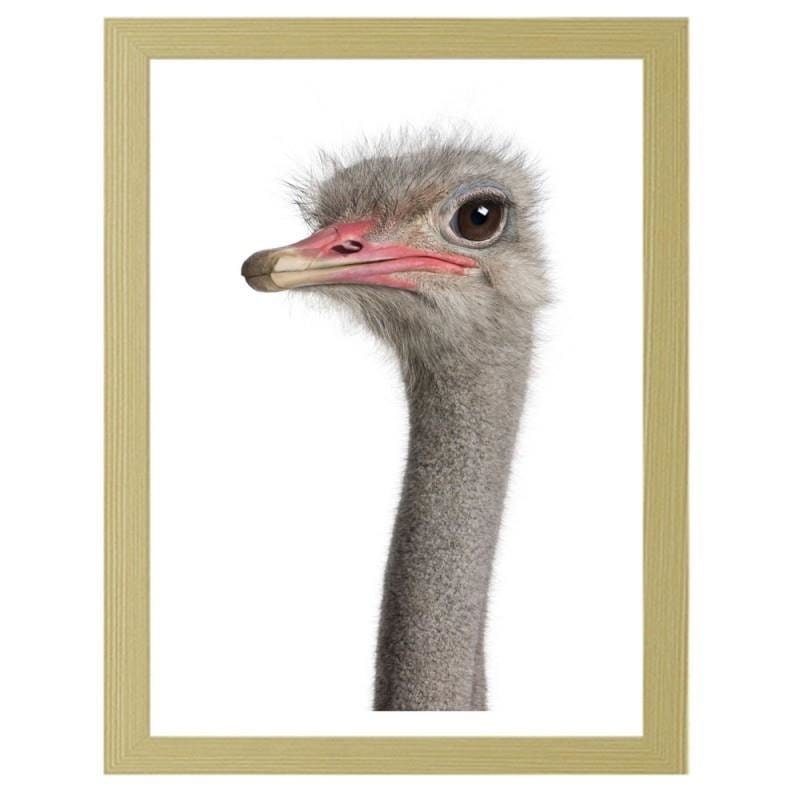 Glezna bēšā rāmī - The ostrich head  Home Trends DECO