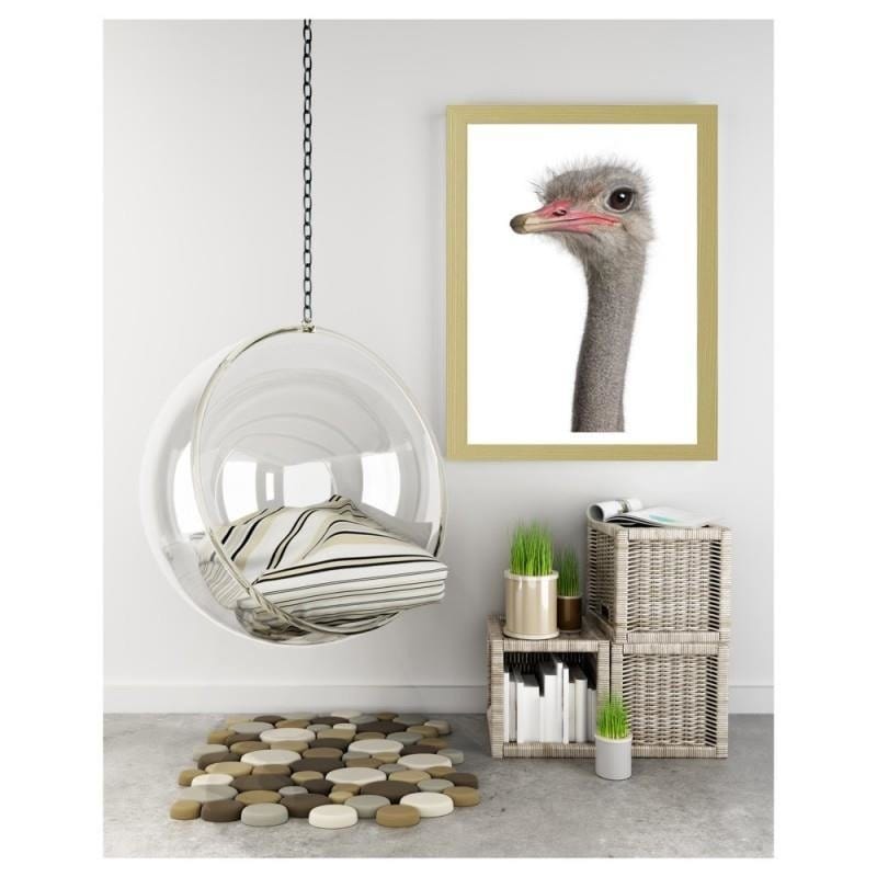Glezna bēšā rāmī - The ostrich head  Home Trends DECO