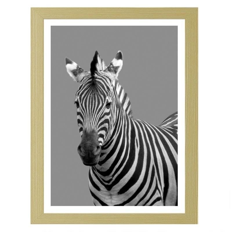 Glezna bēšā rāmī - Zebra in black and white  Home Trends DECO