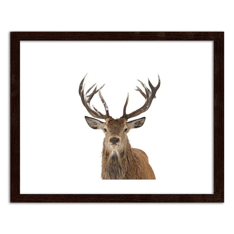 Glezna brūnā rāmī - A deer's head on a white background  Home Trends DECO