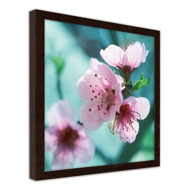 Glezna brūnā rāmī - Almond pink flowers  Home Trends DECO