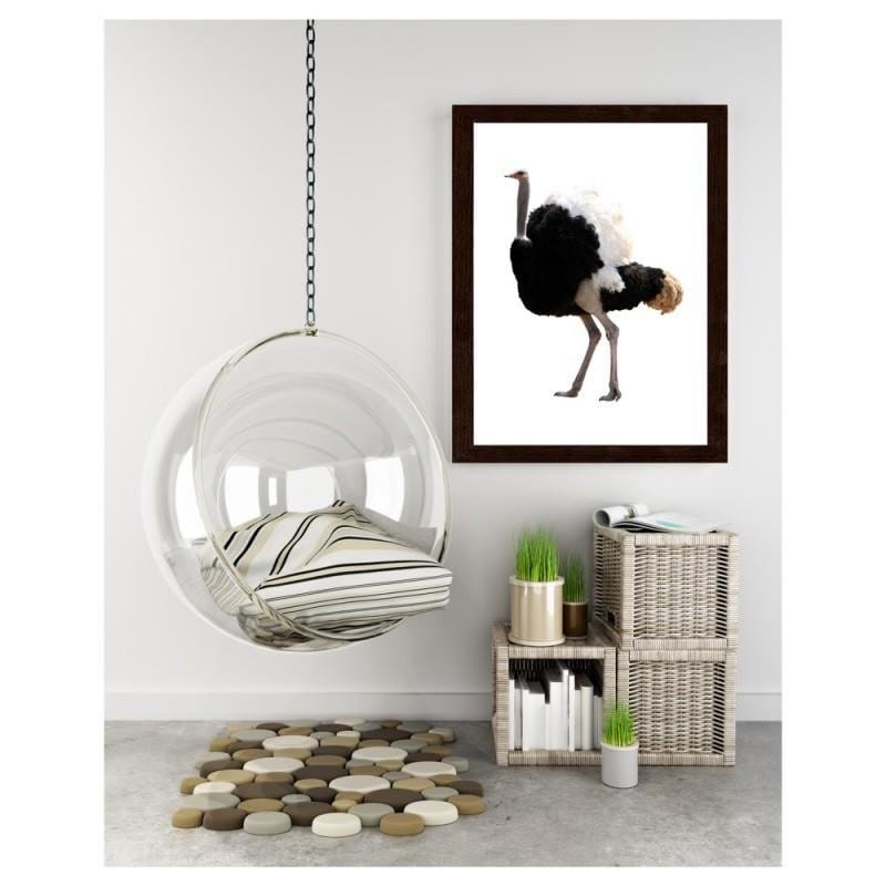 Glezna brūnā rāmī - An ostrich with beautiful feathers  Home Trends DECO