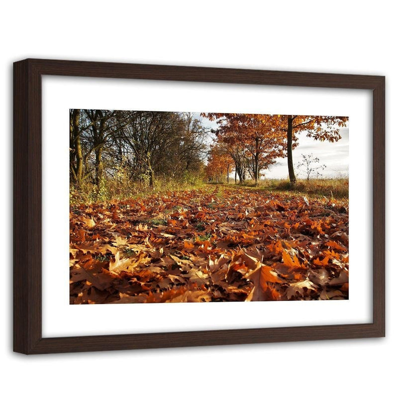 Glezna brūnā rāmī - Autumn Leaves On The Forest Road  Home Trends DECO