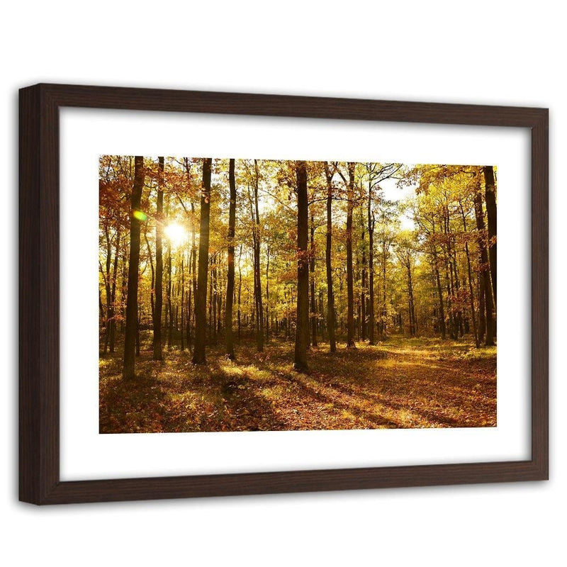 Glezna brūnā rāmī - Autumn Sun Rays In The Forest  Home Trends DECO