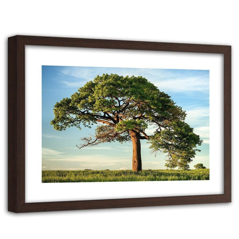 Glezna brūnā rāmī - Big Trees  Home Trends DECO