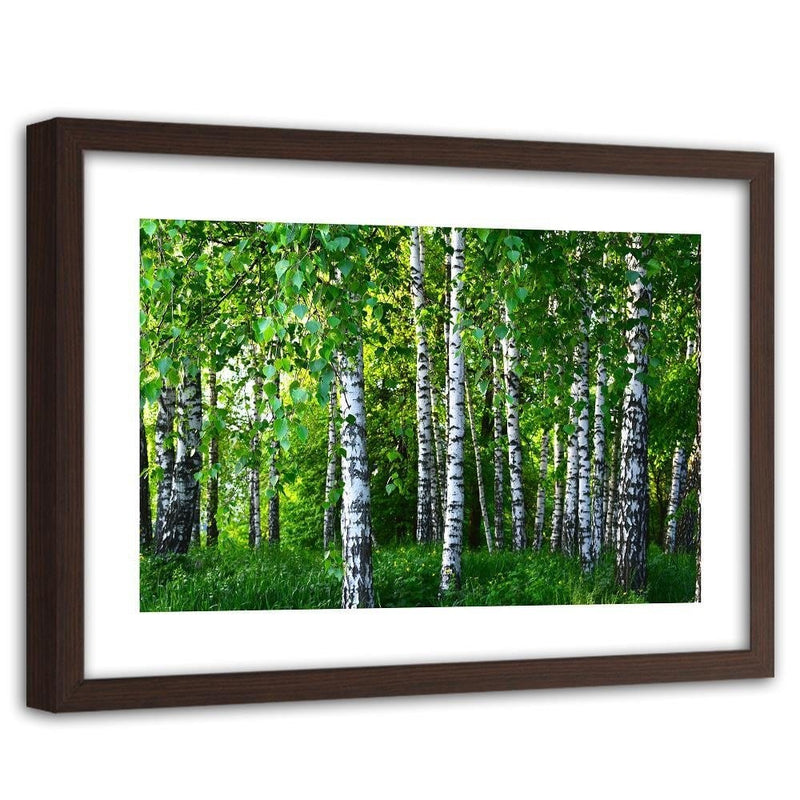 Glezna brūnā rāmī - Birch Forest  Home Trends DECO