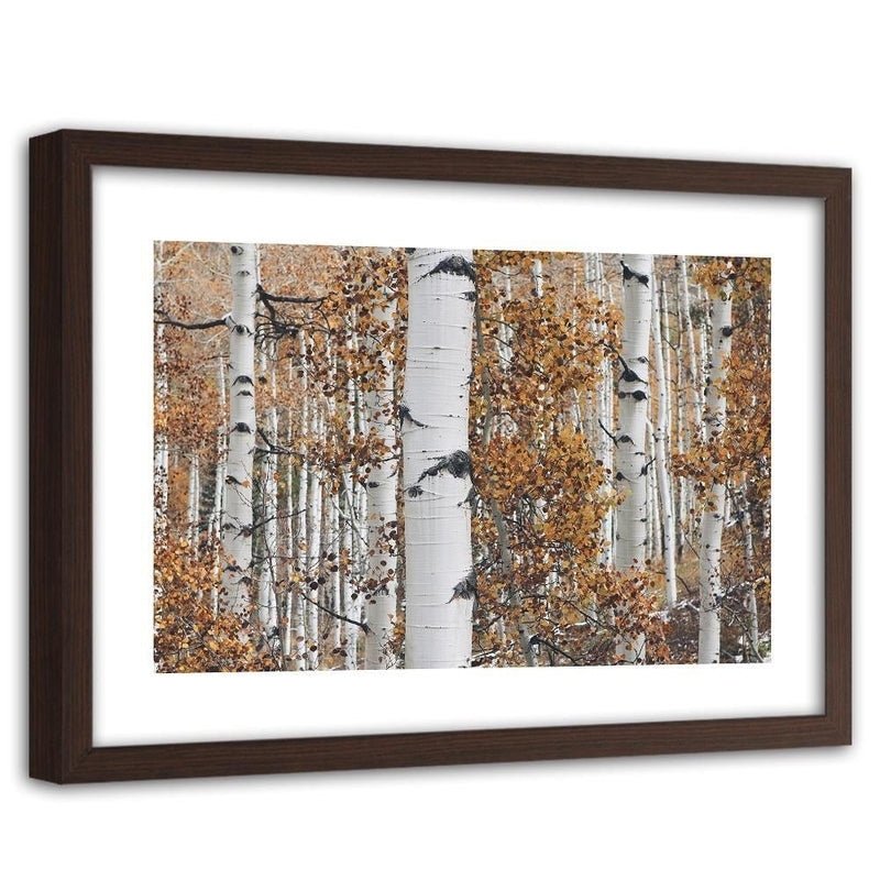 Glezna brūnā rāmī - Birches  Home Trends DECO