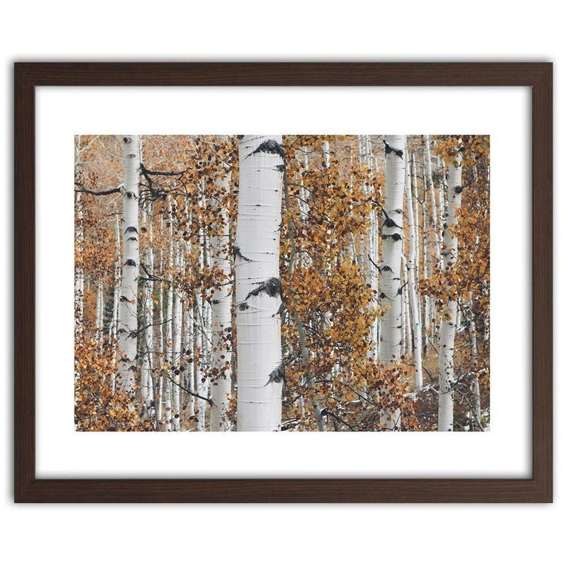 Glezna brūnā rāmī - Birches  Home Trends DECO