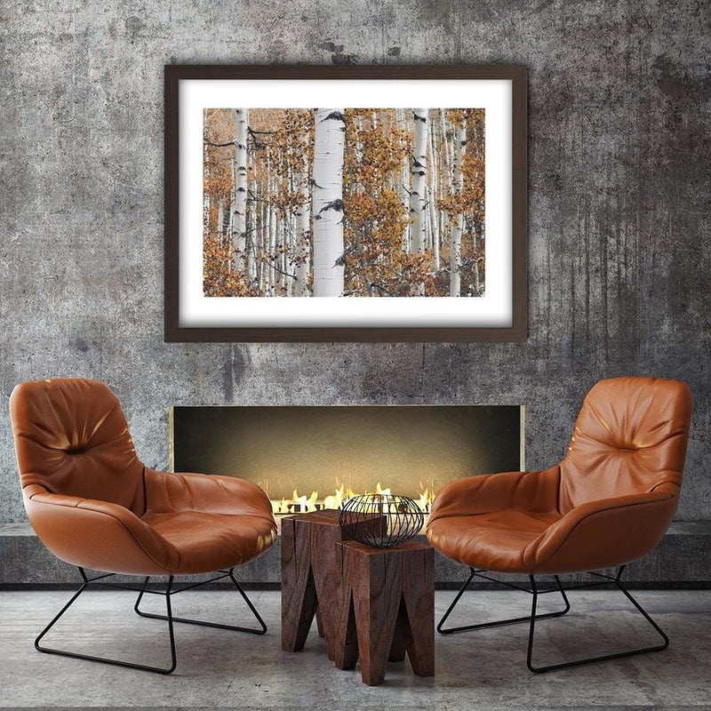 Glezna brūnā rāmī - Birches  Home Trends DECO