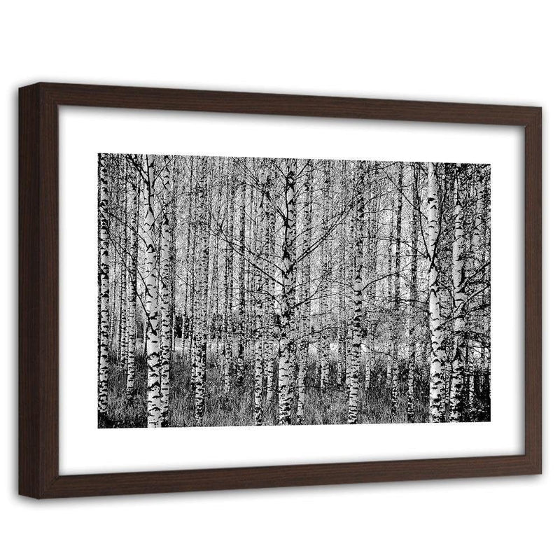 Glezna brūnā rāmī - Black And White Birch  Home Trends DECO