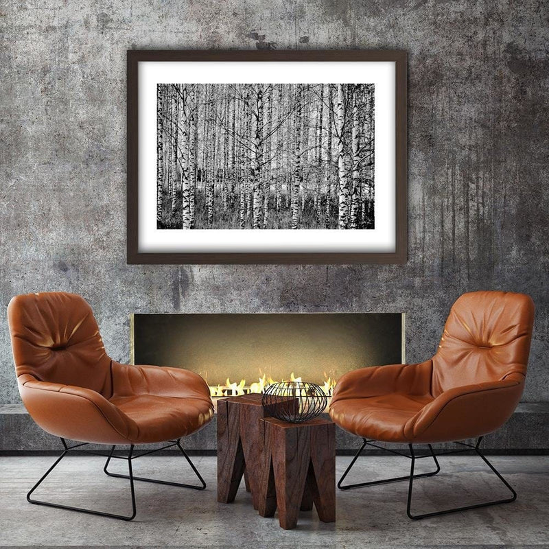 Glezna brūnā rāmī - Black And White Birch  Home Trends DECO