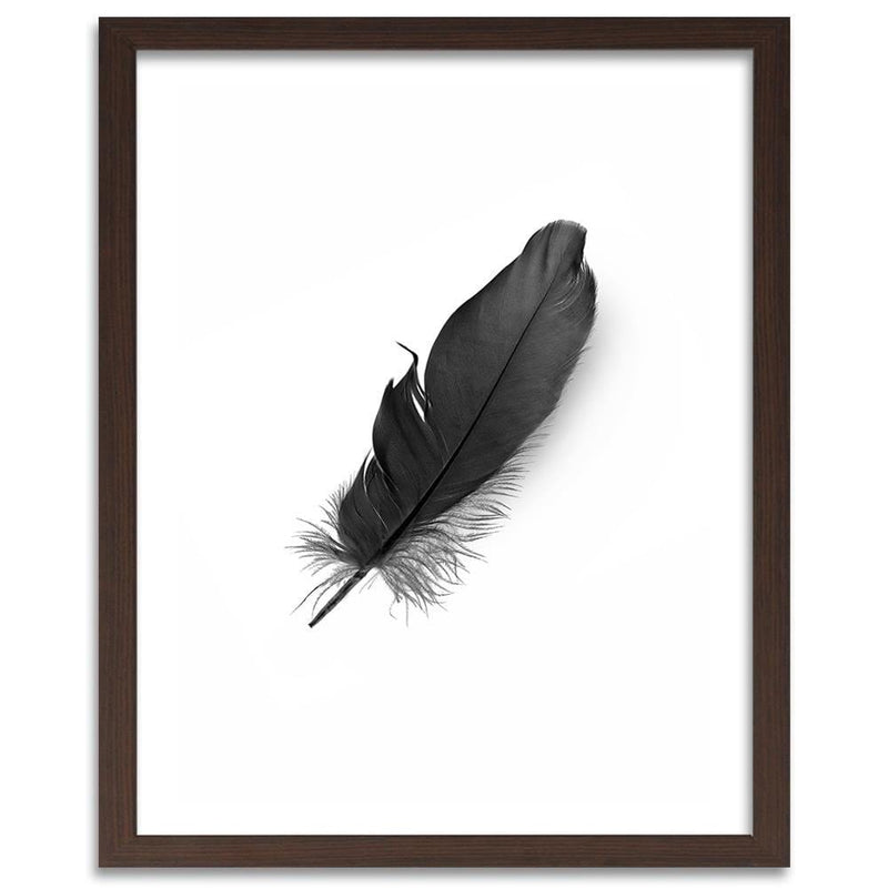 Glezna brūnā rāmī - Black Feather  Home Trends DECO