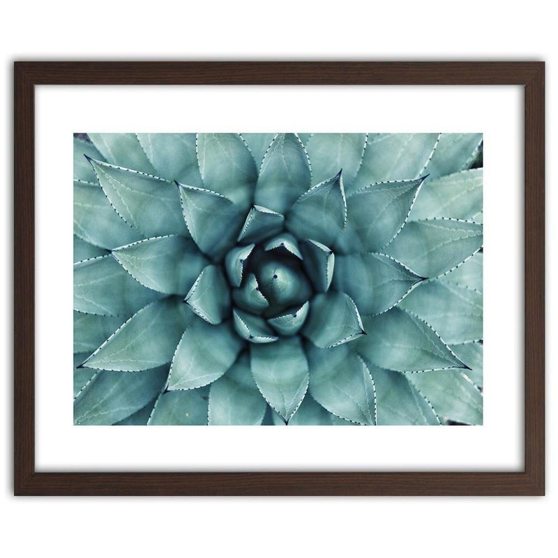 Glezna brūnā rāmī - Blue Aloe  Home Trends DECO