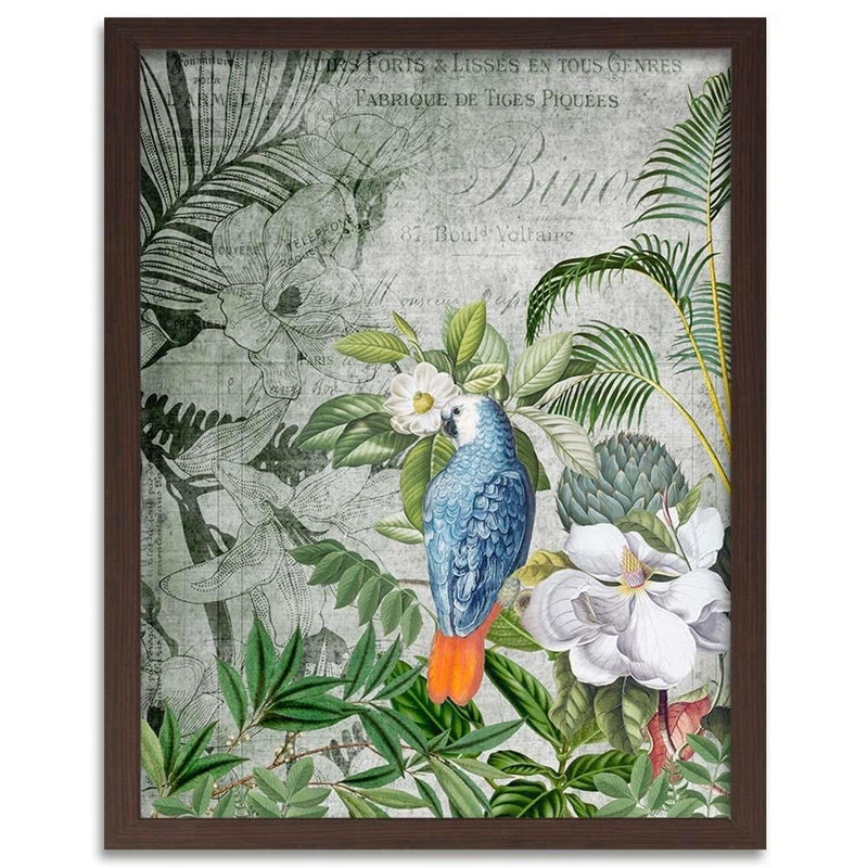 Glezna brūnā rāmī - Blue Parrot  Home Trends DECO