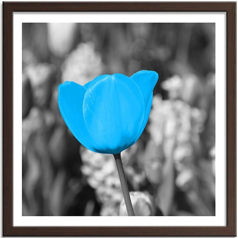 Glezna brūnā rāmī - Blue Tulip  Home Trends DECO