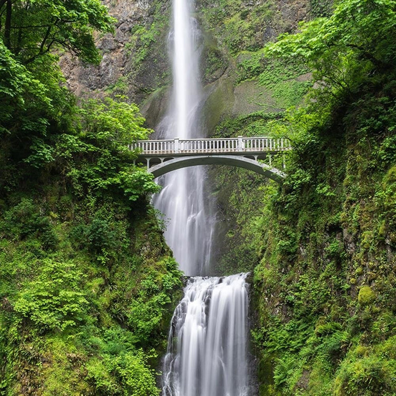 Glezna brūnā rāmī - Bridge Over A Waterfall  Home Trends DECO