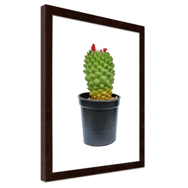 Glezna brūnā rāmī - Cactus on white background  Home Trends DECO