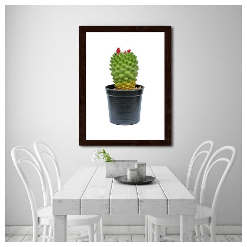 Glezna brūnā rāmī - Cactus on white background  Home Trends DECO