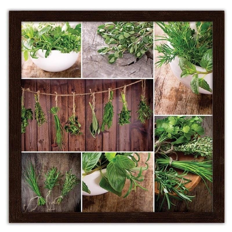 Glezna brūnā rāmī - Collected herbs  Home Trends DECO