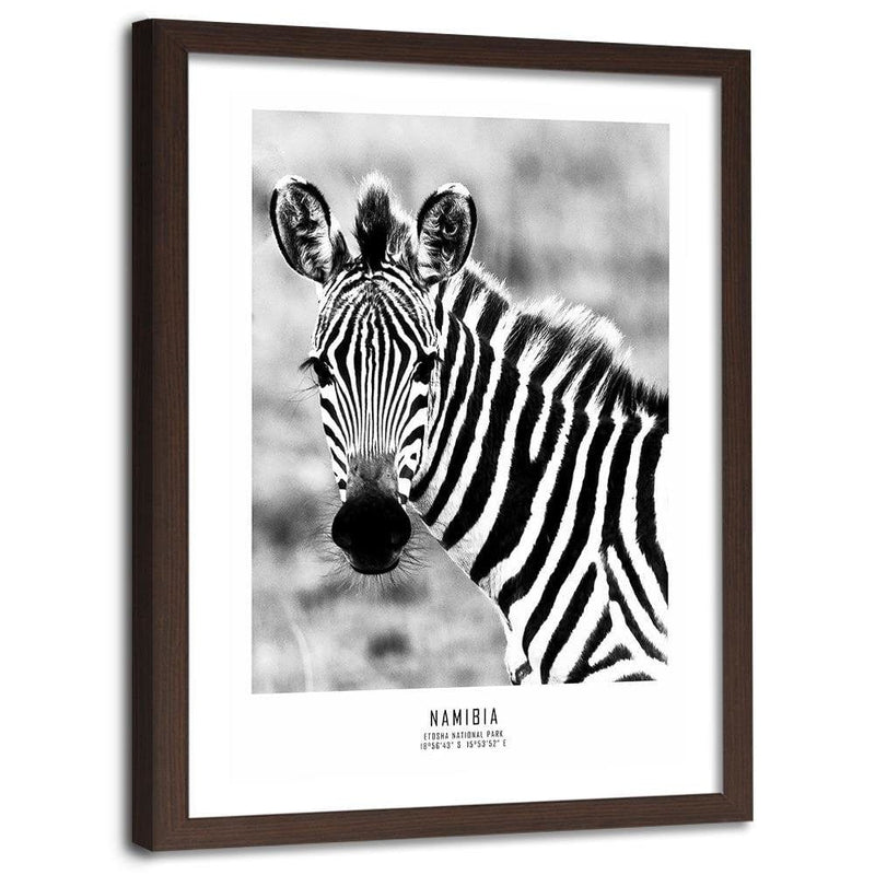 Glezna brūnā rāmī - Curious Zebra  Home Trends DECO