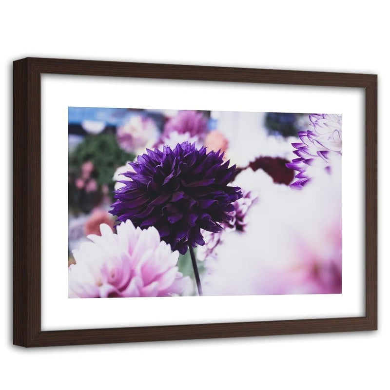 Glezna brūnā rāmī - Dahlias  Home Trends DECO