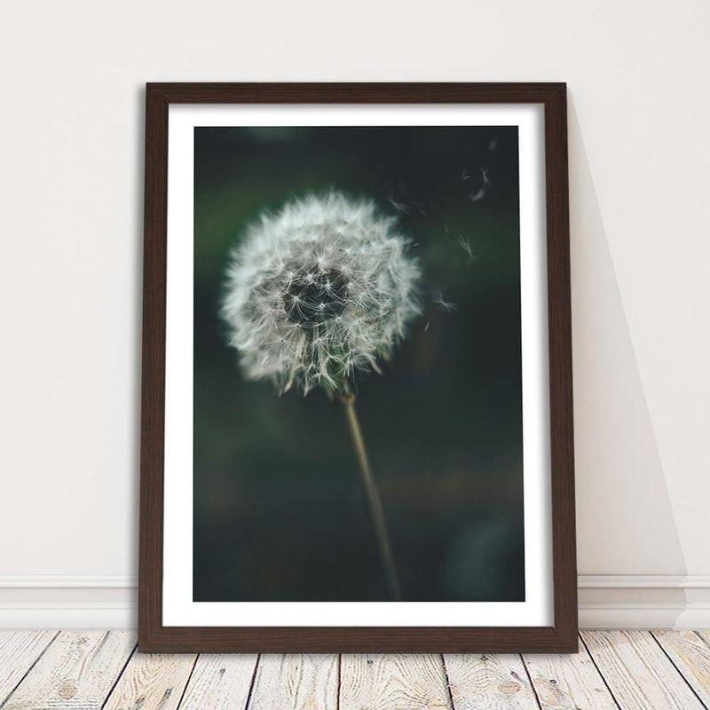 Glezna brūnā rāmī - Dandelion  Home Trends DECO