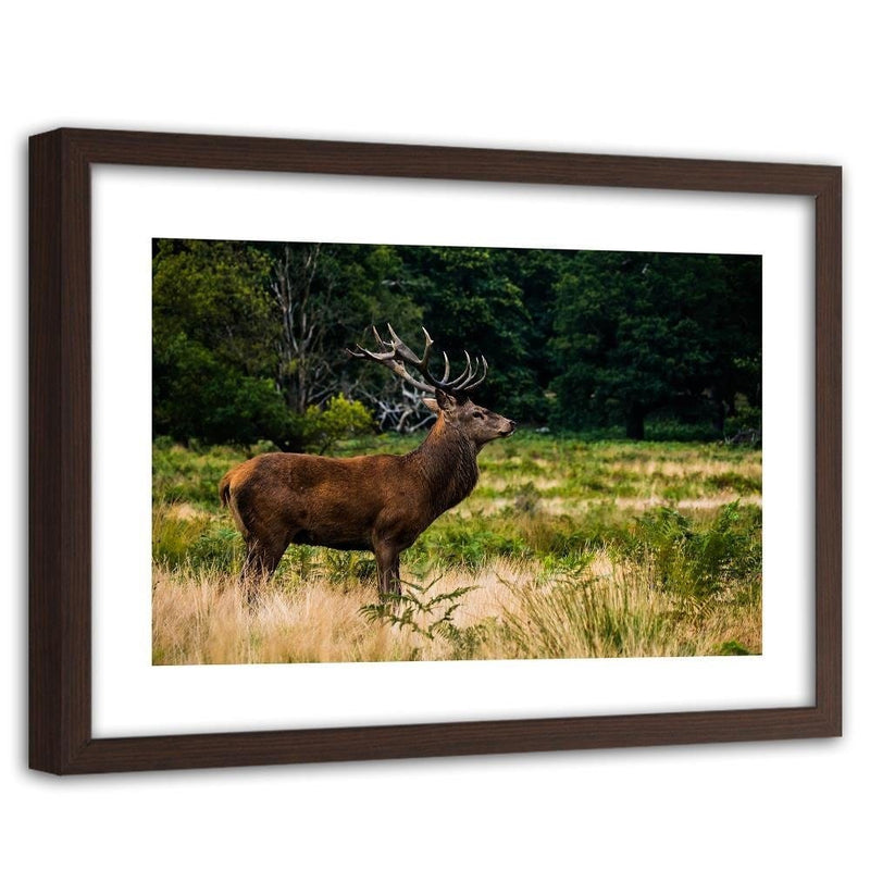 Glezna brūnā rāmī - Deer In Rut  Home Trends DECO