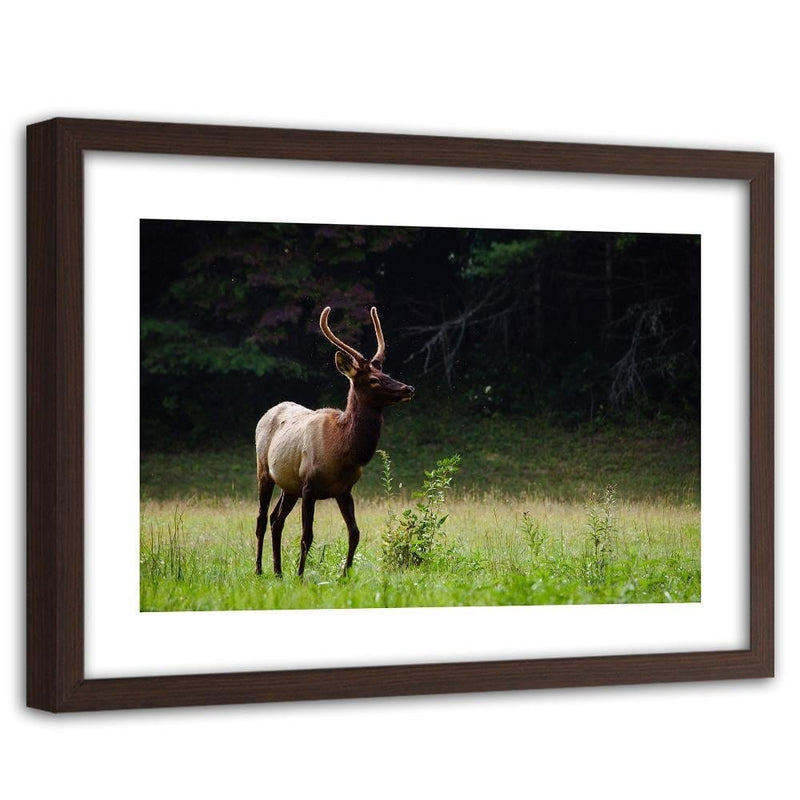 Glezna brūnā rāmī - Deer In The Meadow  Home Trends DECO