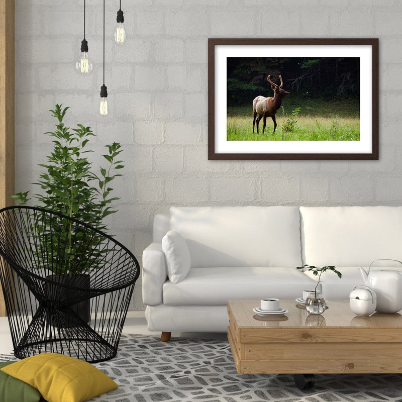 Glezna brūnā rāmī - Deer In The Meadow  Home Trends DECO