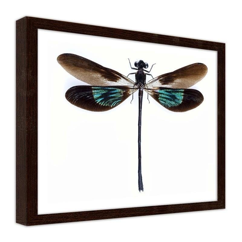 Glezna brūnā rāmī - Dragonfly  Home Trends DECO