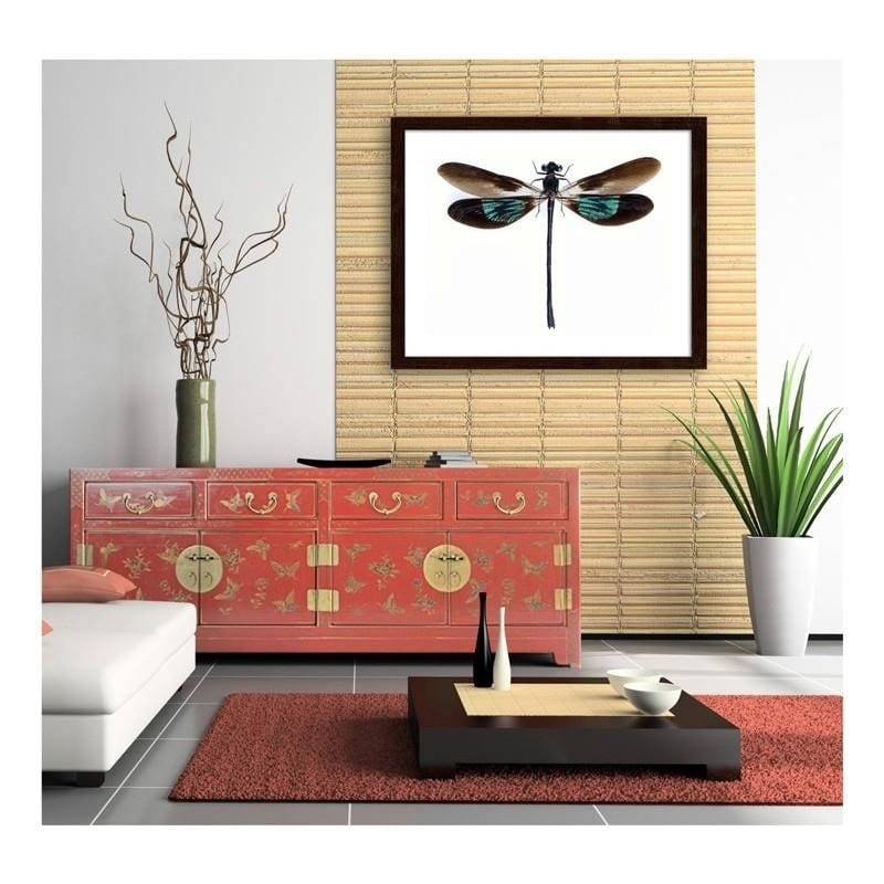 Glezna brūnā rāmī - Dragonfly  Home Trends DECO