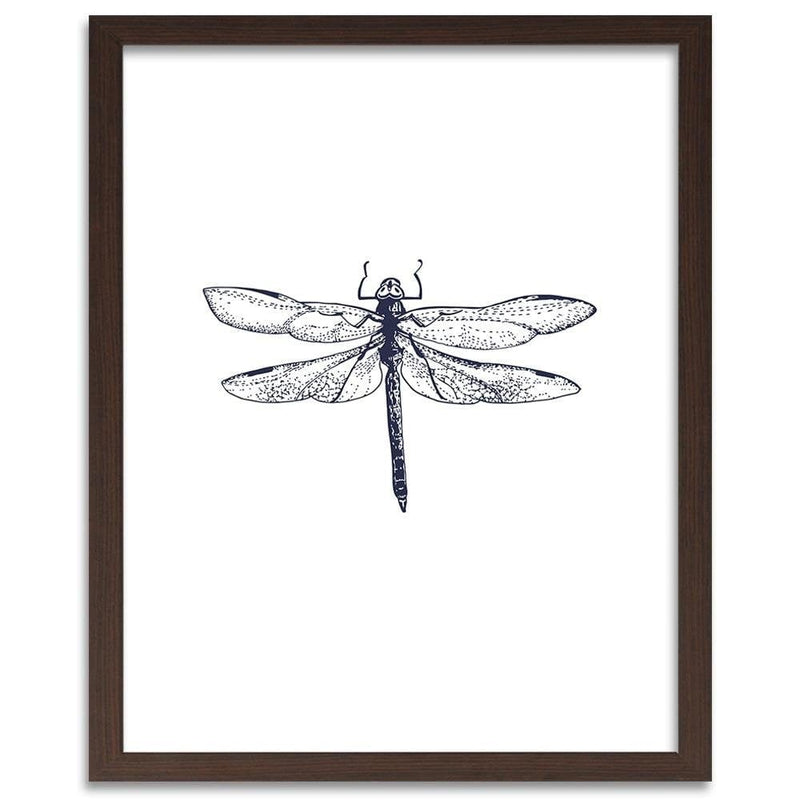 Glezna brūnā rāmī - Drawn Dragonfly  Home Trends DECO