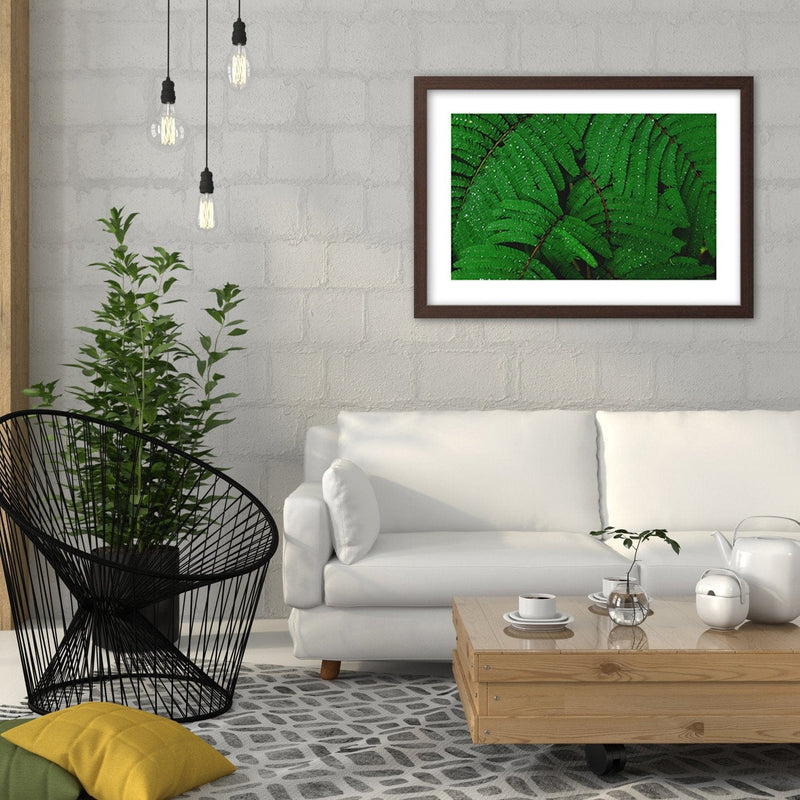 Glezna brūnā rāmī - Drops On The Leaves Of A Fern  Home Trends DECO