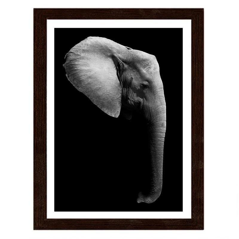 Glezna brūnā rāmī - Elephant in black and white  Home Trends DECO