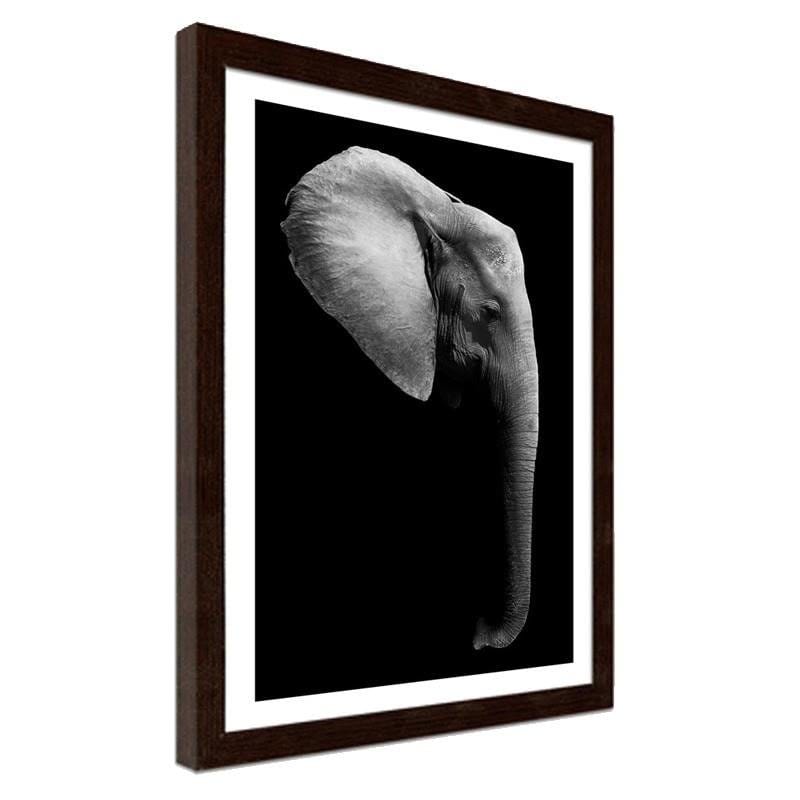 Glezna brūnā rāmī - Elephant in black and white  Home Trends DECO