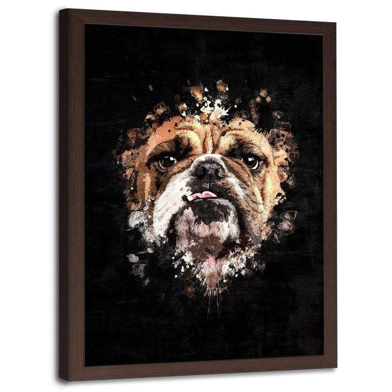 Glezna brūnā rāmī - English Bulldog  Home Trends DECO