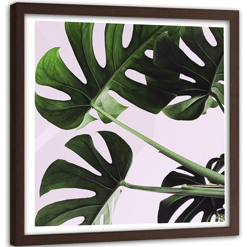 Glezna brūnā rāmī - Exotic Leaves Monstera 1  Home Trends DECO