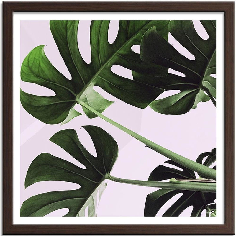 Glezna brūnā rāmī - Exotic Leaves Monstera 1  Home Trends DECO