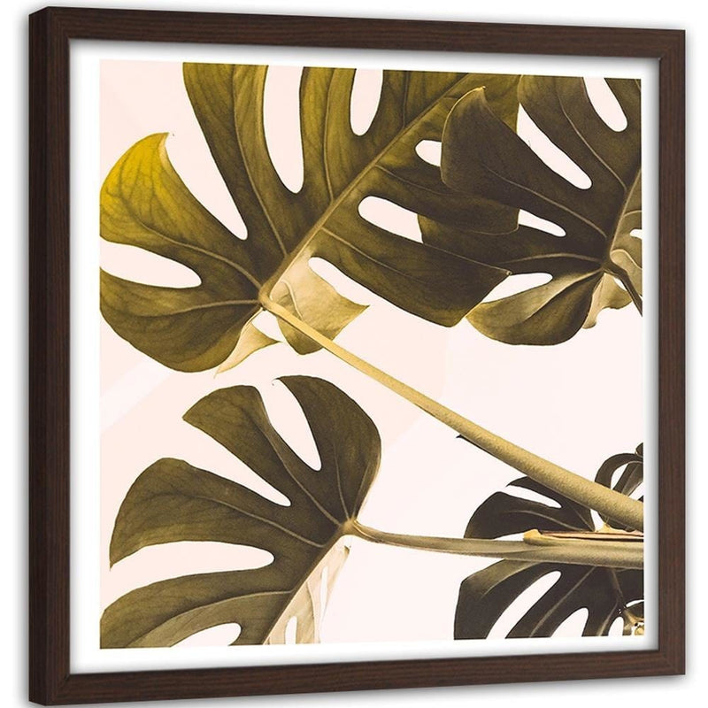 Glezna brūnā rāmī - Exotic Leaves Monstera 2  Home Trends DECO