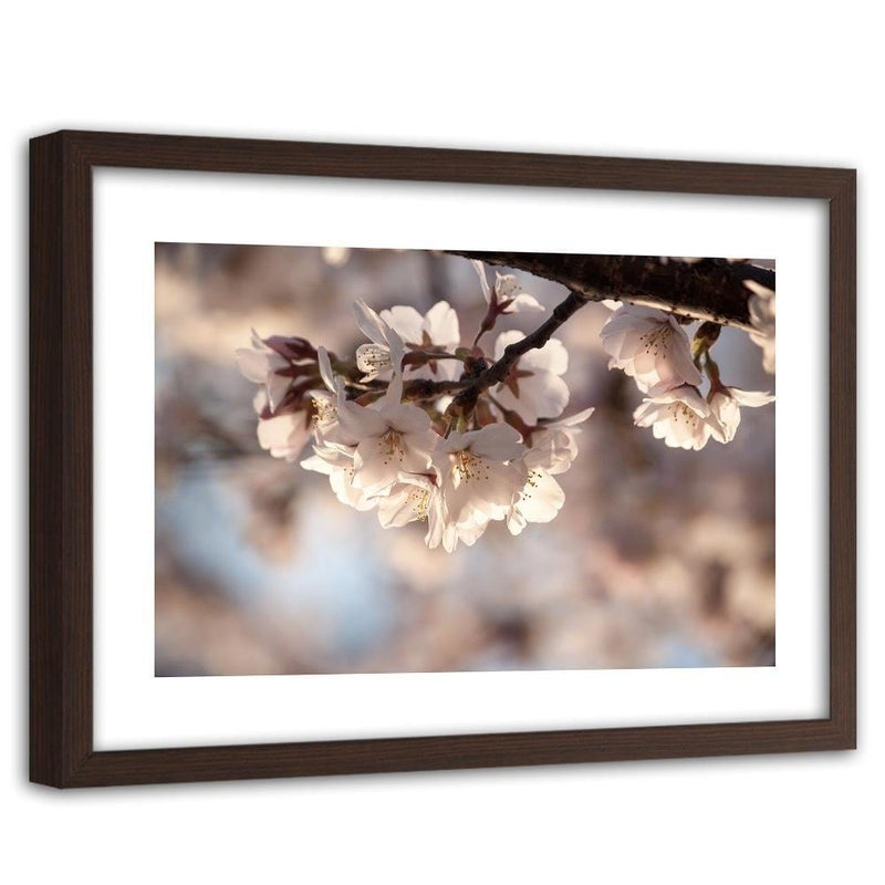 Glezna brūnā rāmī - Flowering Cherry  Home Trends DECO