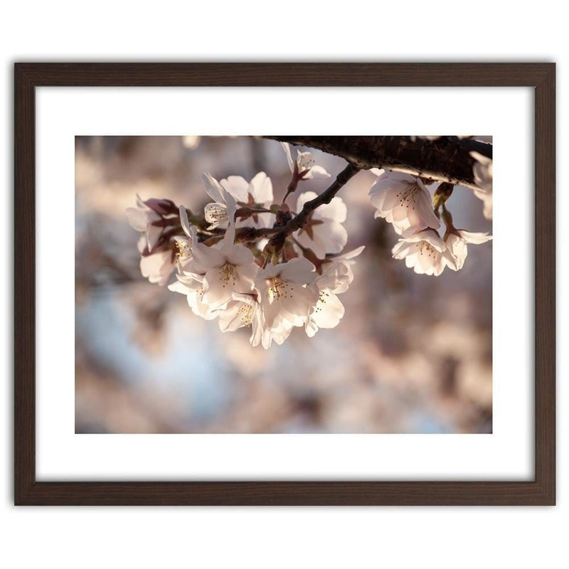 Glezna brūnā rāmī - Flowering Cherry  Home Trends DECO